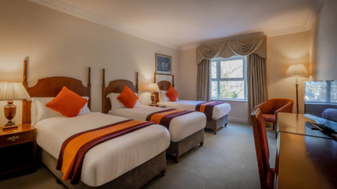 Hotel room with two single beds, white linens, orange pillows and throws, bedside lamps, a window with curtains, an armchair, and a desk with a TV.
