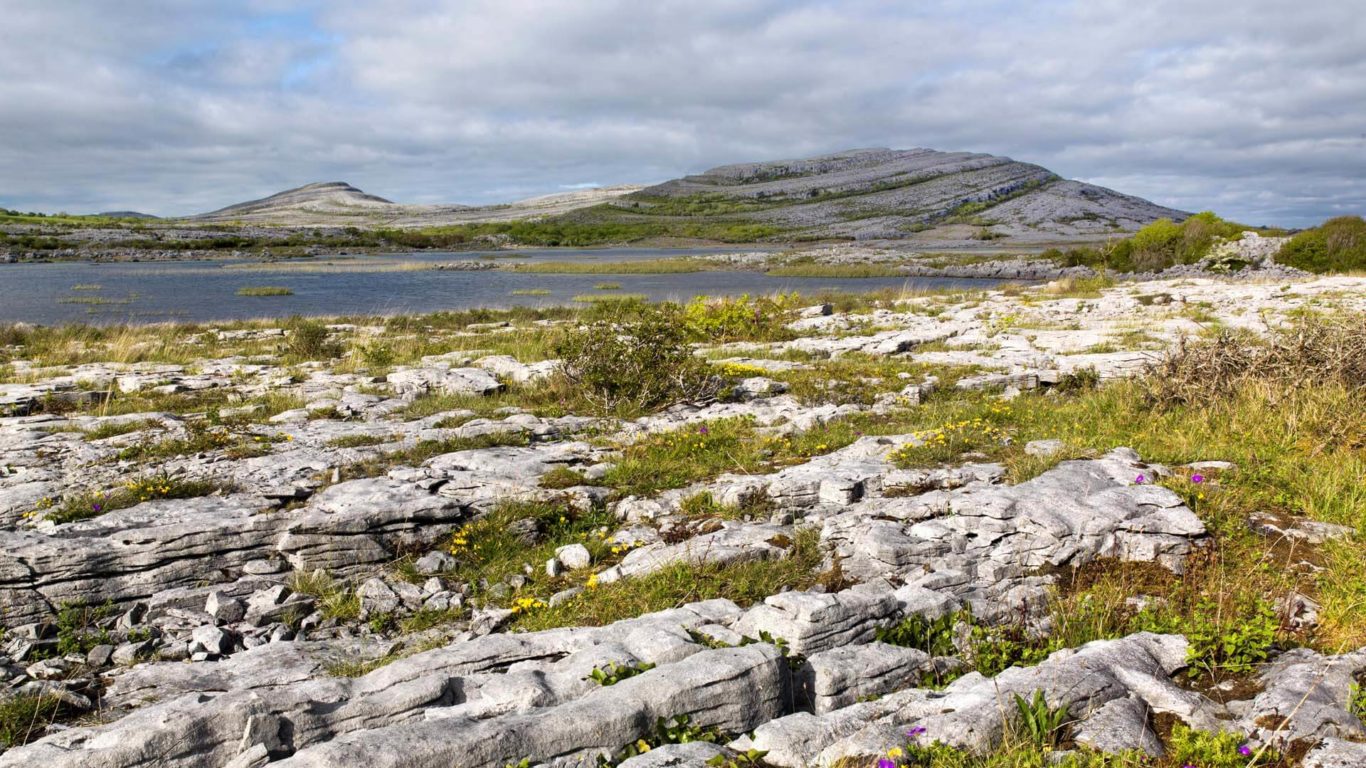 The Burren