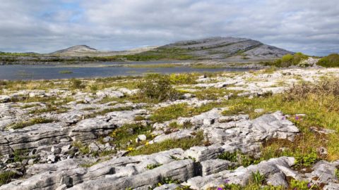 The Burren