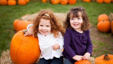 Halloween Mid-Term Break in Clare