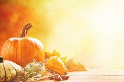 Fall