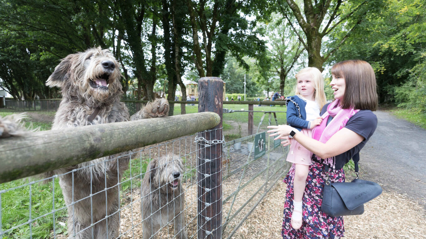 Photograph by Eamon Ward