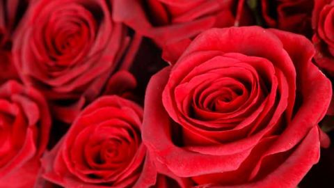 Valentines