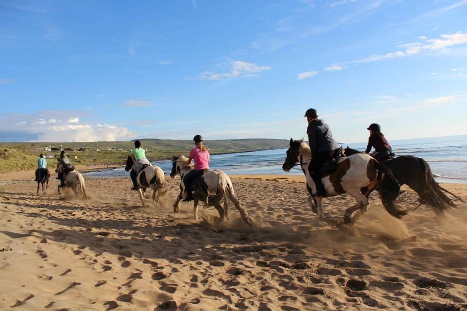 Guests enjoying horseback riding on a scenic sandy beach with ocean views and green hills under a clear blue sky.