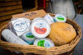st tolas goat cheese