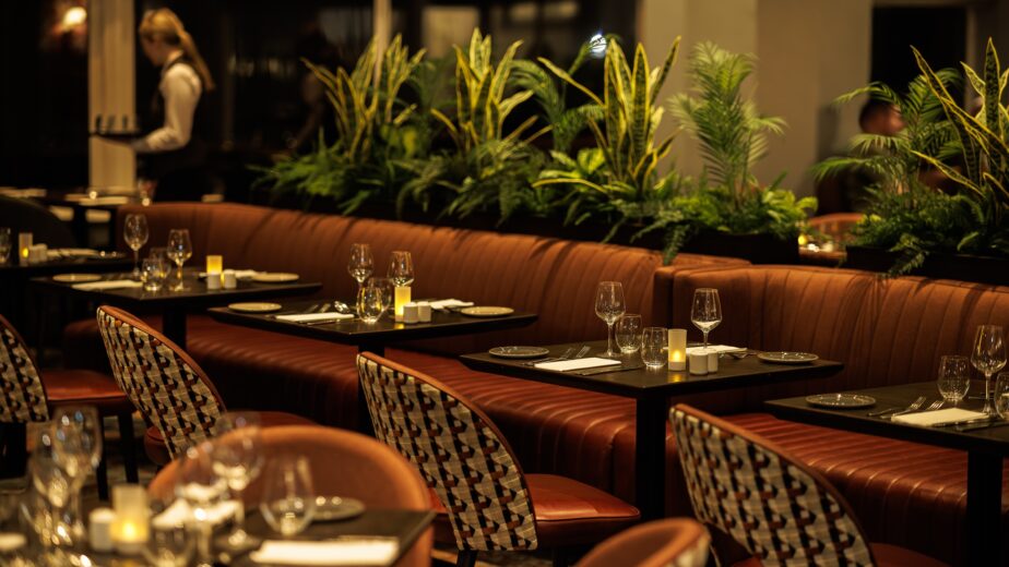 Daniel Geesen Photography – Hotel Woodstock – Web Optimised 2048px – 2024-02-15-19.48.22