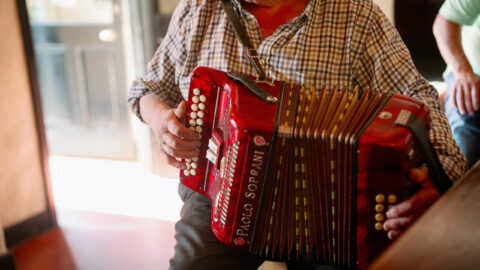 Guest enjoying live accordion music in a cosy hotel lounge with warm lighting, offering a welcoming and cultural experience.