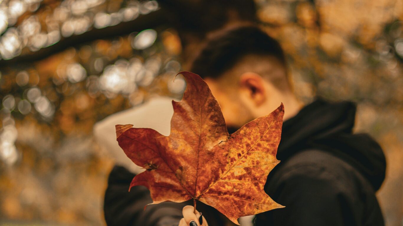 A person holds a large, brown autumn leaf in front of their face, with a blurred background of fall foliage.