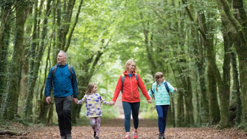 A family of four walks hand in hand along a leaf-covered path in a green, tree-lined forest.