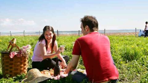 Couple enjoying picnic on sunny hotel lawn with ocean view, surrounded by lush greenery and picnic basket amenities.